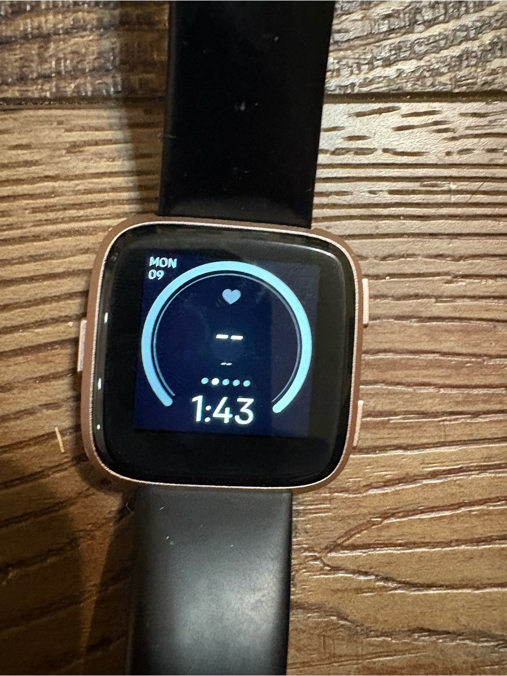 Fitbit Versa FB505 Smartwatch 1st Gen Fitness Tracker Heart Rate w/charger
